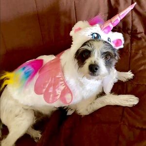 Meet your Posher, Irene